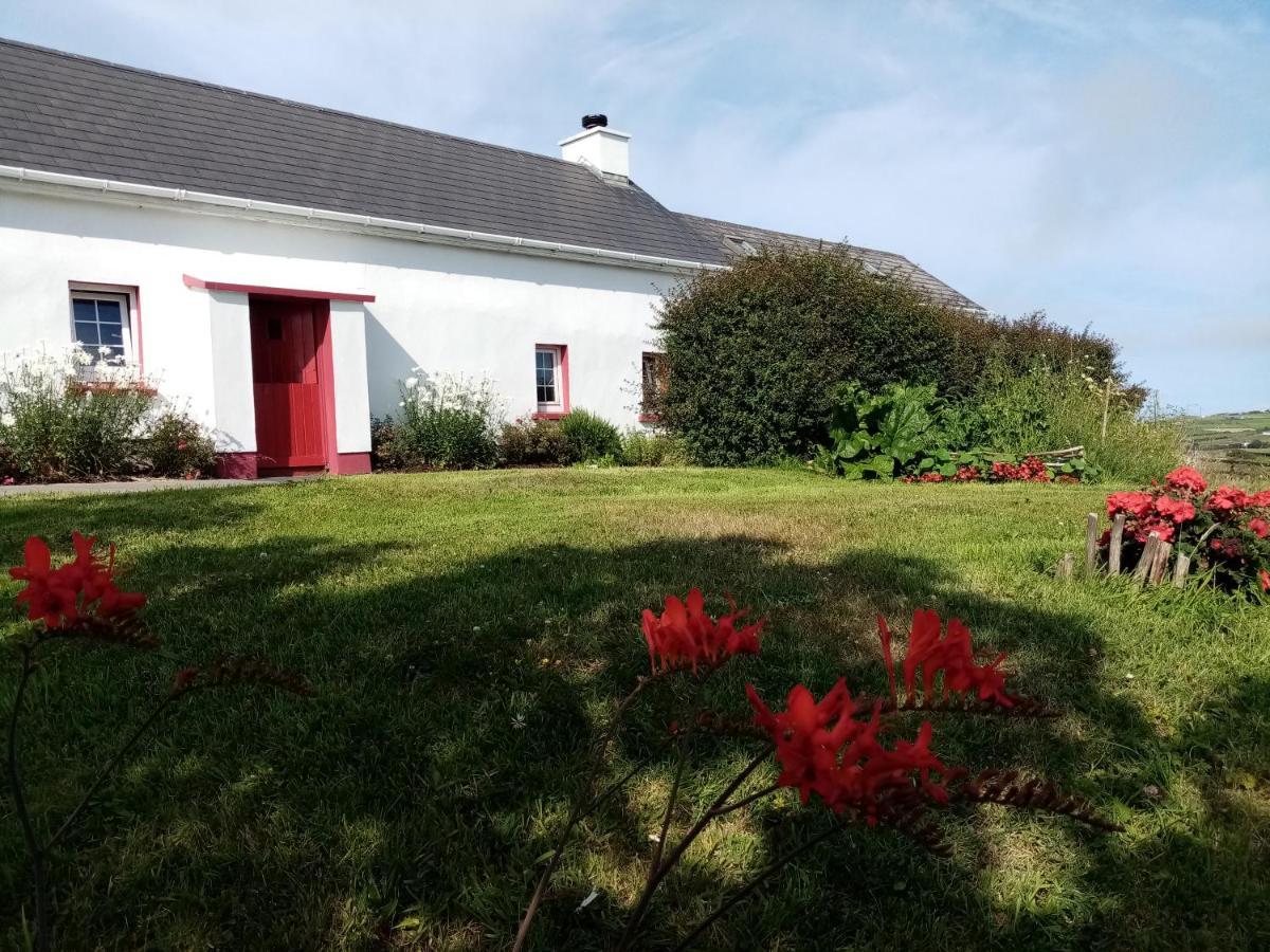 B&B The Red Door Cottage Ντόνεγκαλ Εξωτερικό φωτογραφία