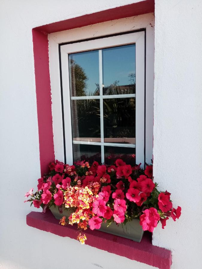 B&B The Red Door Cottage Ντόνεγκαλ Εξωτερικό φωτογραφία